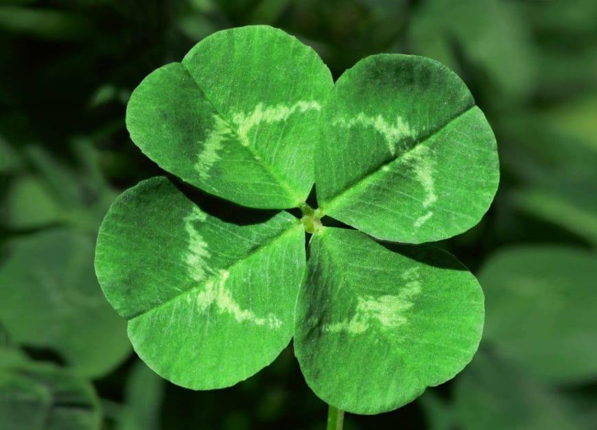 Carbon neutrality in early learning